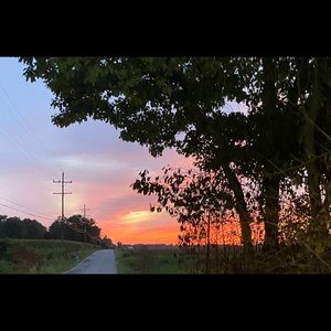 Meet your Posher, Brant